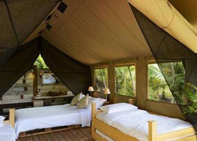 �й���44118̫���ɳǼ���(�ɷ����޹�˾)-�ٷ���վ