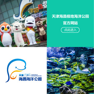 theme-park-tj theme-park-tj