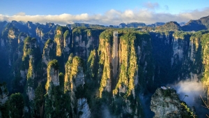 �й���44118̫���ɳǼ���(�ɷ����޹�˾)-�ٷ���վ