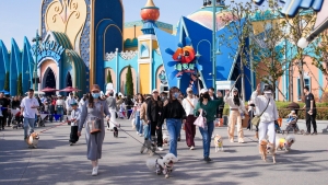 �й���44118̫���ɳǼ���(�ɷ����޹�˾)-�ٷ���վ