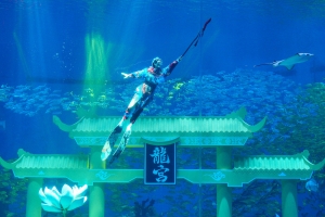 �й���44118̫���ɳǼ���(�ɷ����޹�˾)-�ٷ���վ