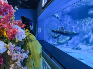 �й���44118̫���ɳǼ���(�ɷ����޹�˾)-�ٷ���վ