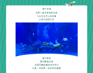 �й���44118̫���ɳǼ���(�ɷ����޹�˾)-�ٷ���վ