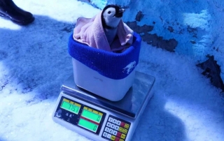 �й���44118̫���ɳǼ���(�ɷ����޹�˾)-�ٷ���վ