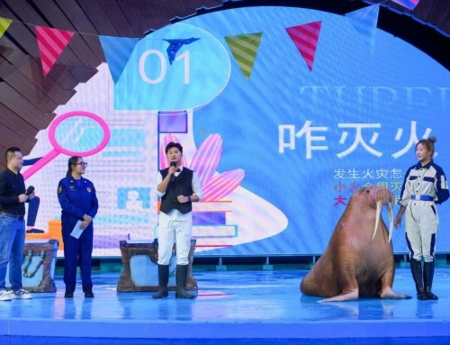 �������������ˡ���������������֣��44118̫���ɳǼ����Ժ����Ļ����չ�����ȫ�����³���